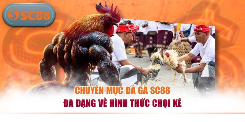 Chuyên mục đá gà SC88 đa dạng về hình thức chọi kê